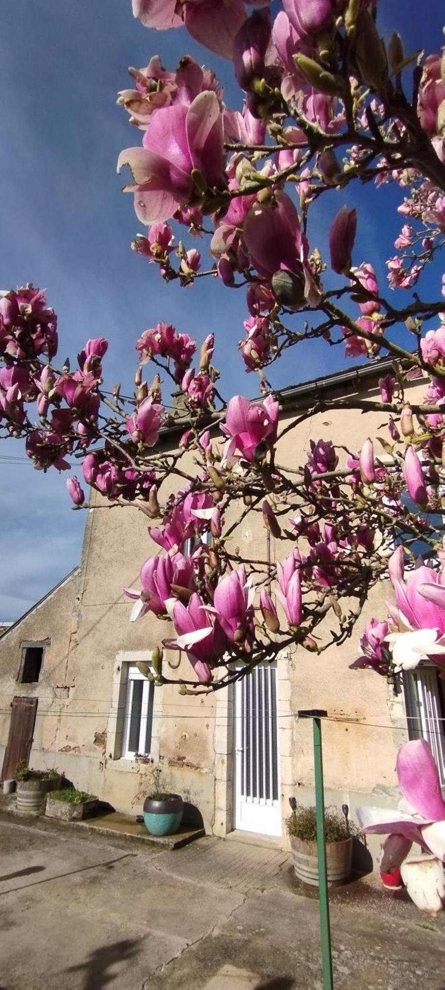 Gite L'Esprit Nature Naucelle Extérieur photo