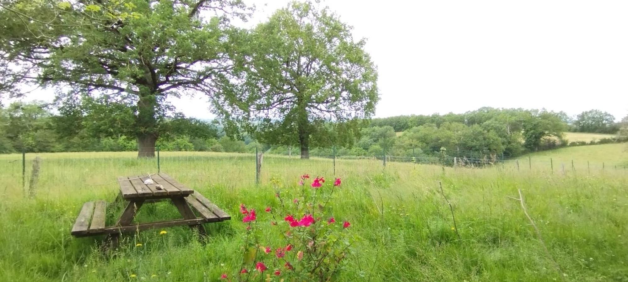 Gite L'Esprit Nature Naucelle Extérieur photo